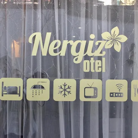 מלון Nergiz Boutique 3*